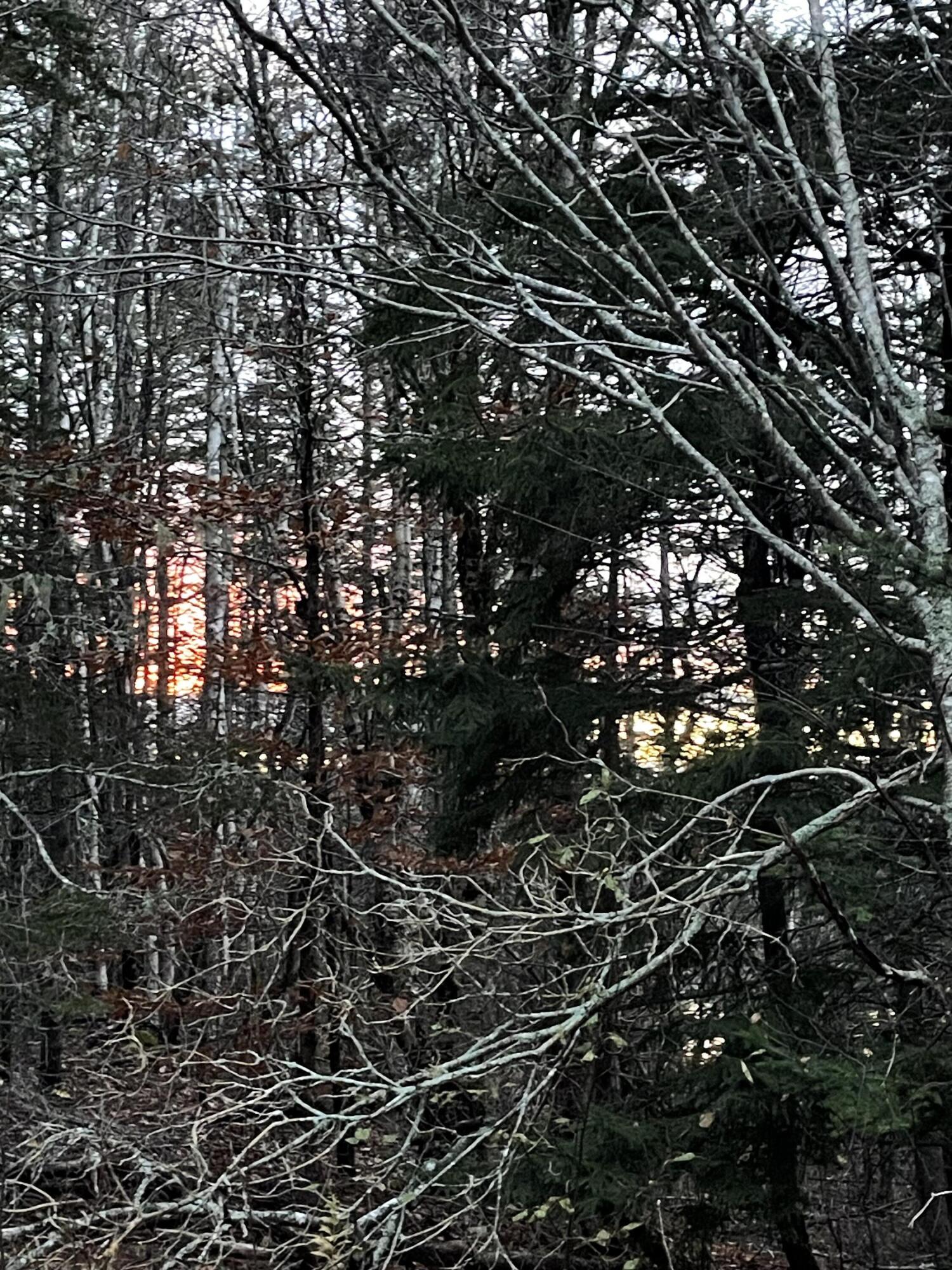 Lot 1-9 Lead Mine Road Lubec ME 04652