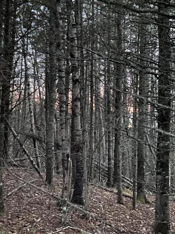 Lot 1-9 Lead Mine Road Lubec ME 04652