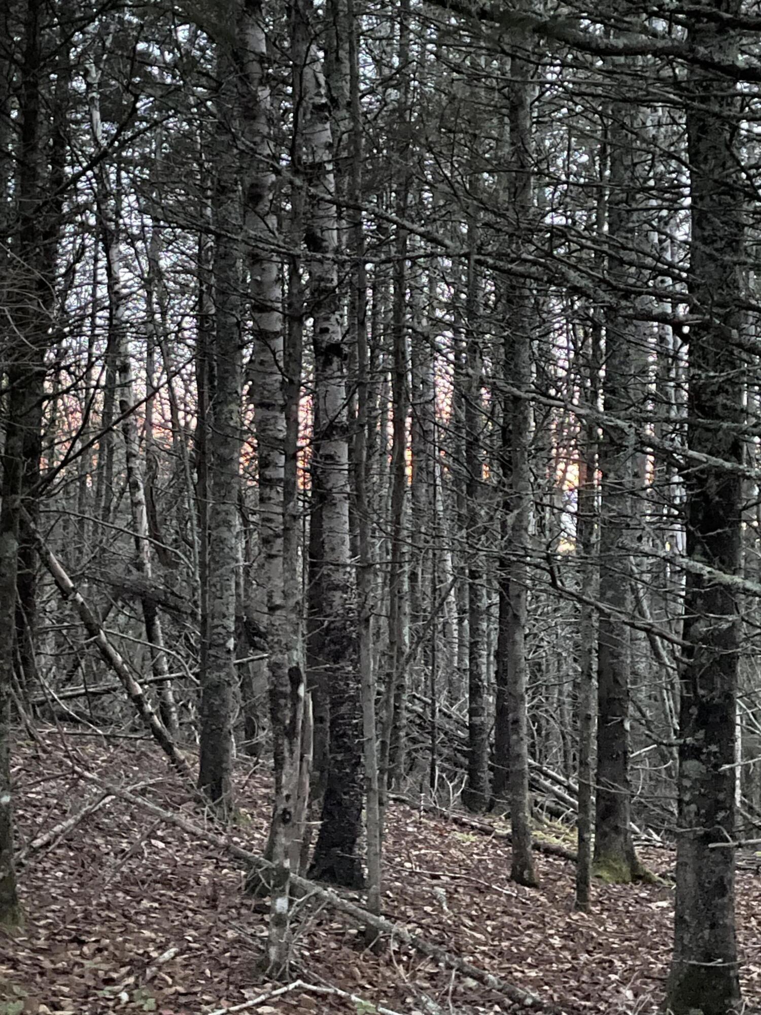 Lot 1-9 Lead Mine Road Lubec ME 04652