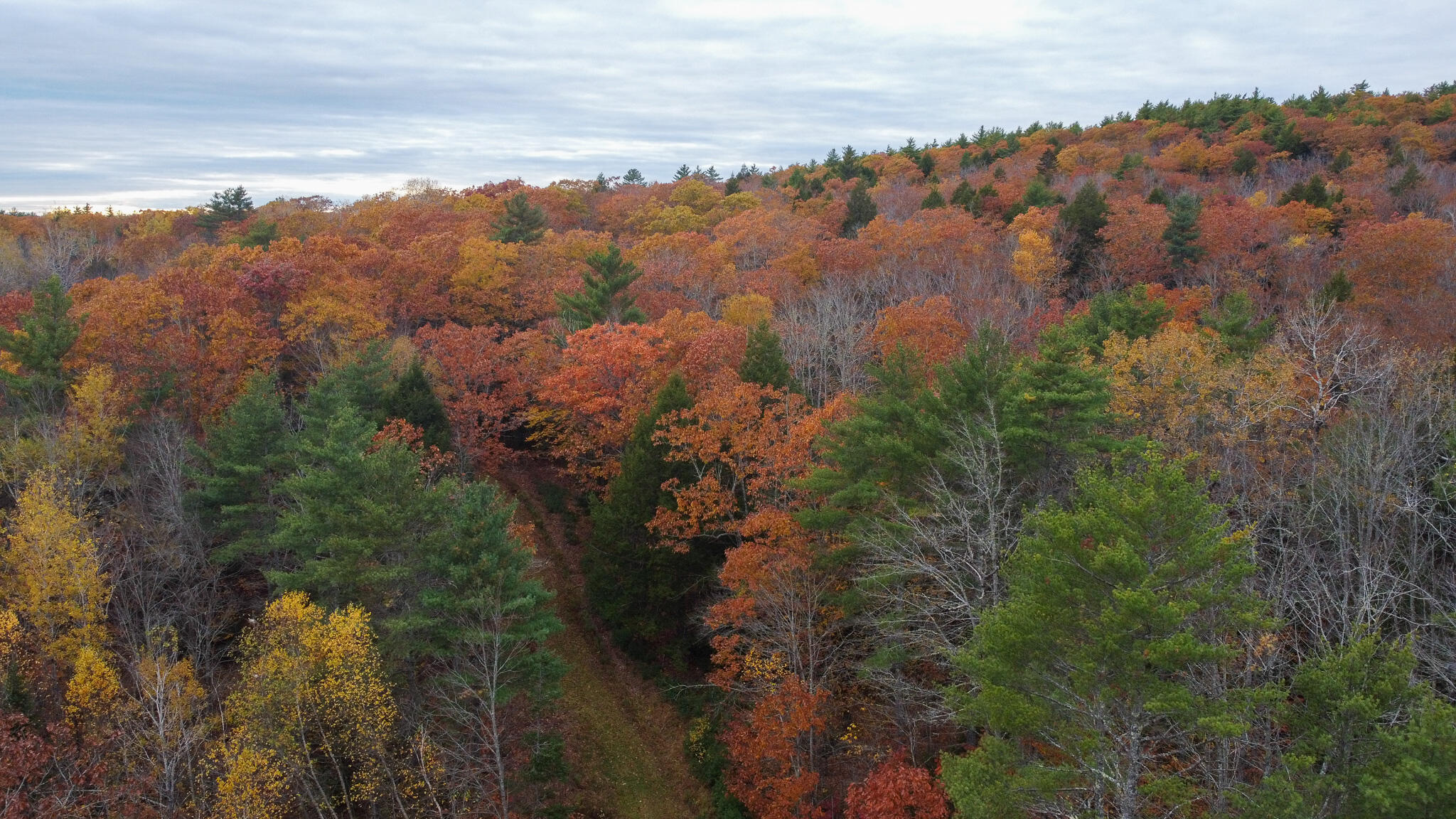 Lot 57b Dodge Road Dresden ME 04342