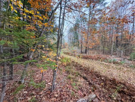 Lot 57b Dodge Road Dresden ME 04342