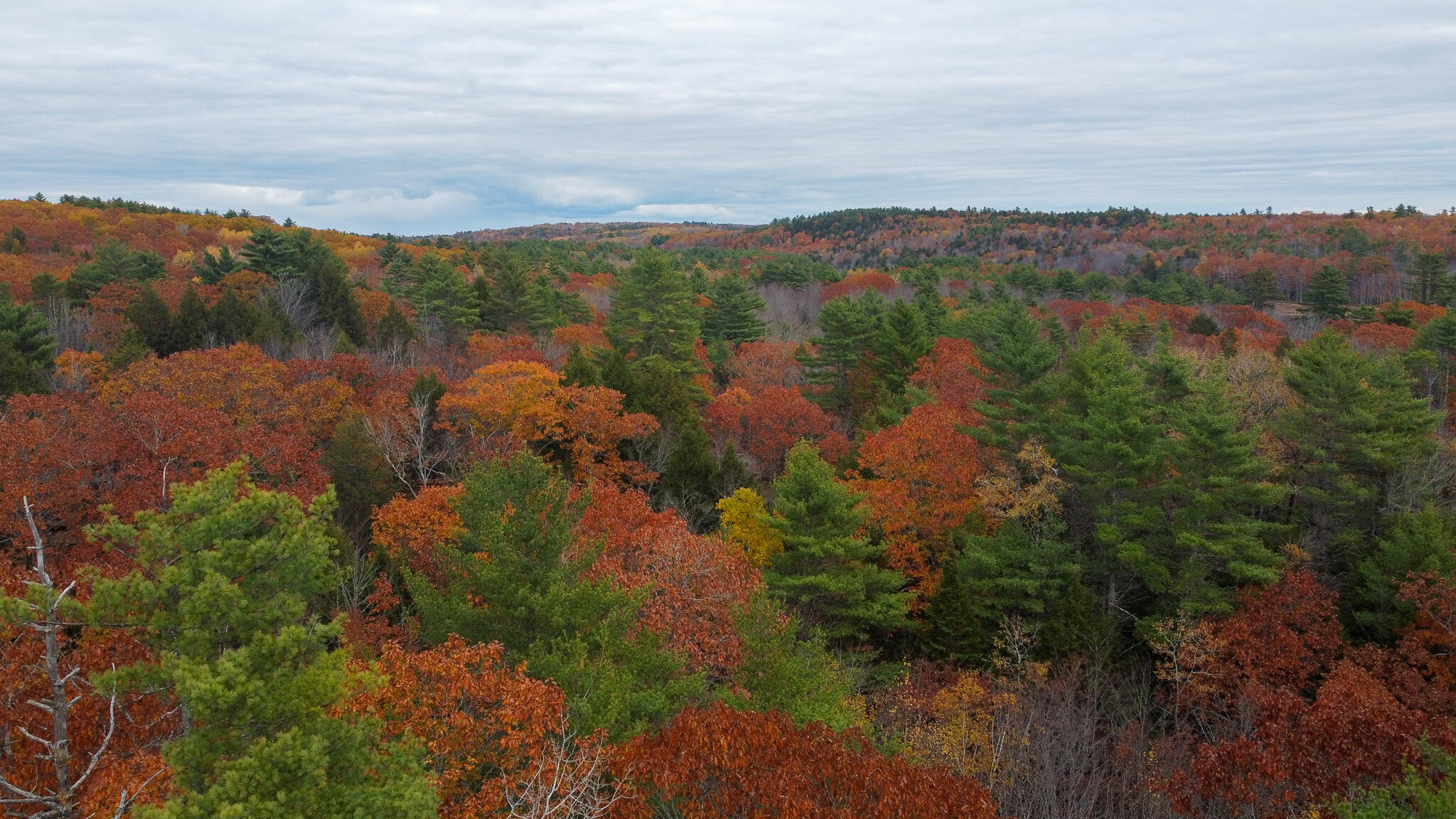 Lot 57b Dodge Road Dresden ME 04342