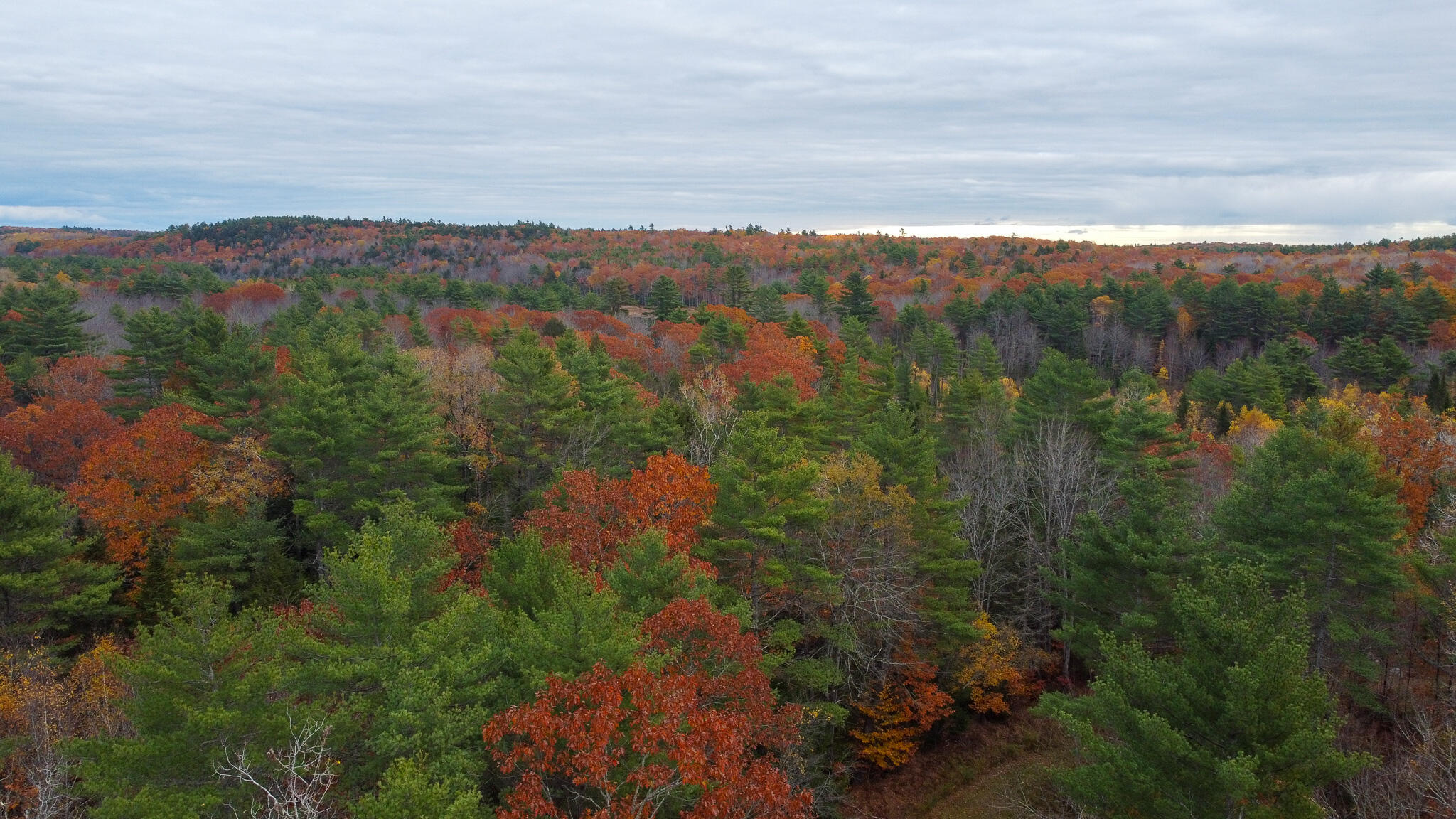 Lot 57b Dodge Road Dresden ME 04342