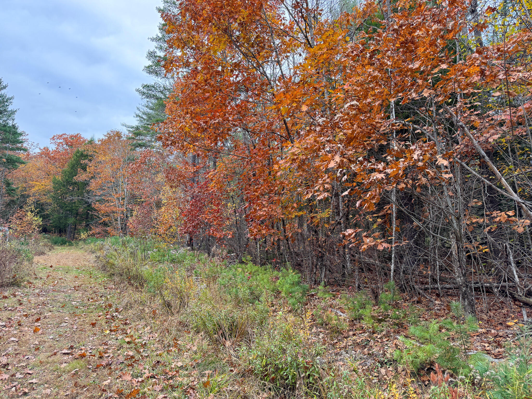 Lot 57b Dodge Road Dresden ME 04342