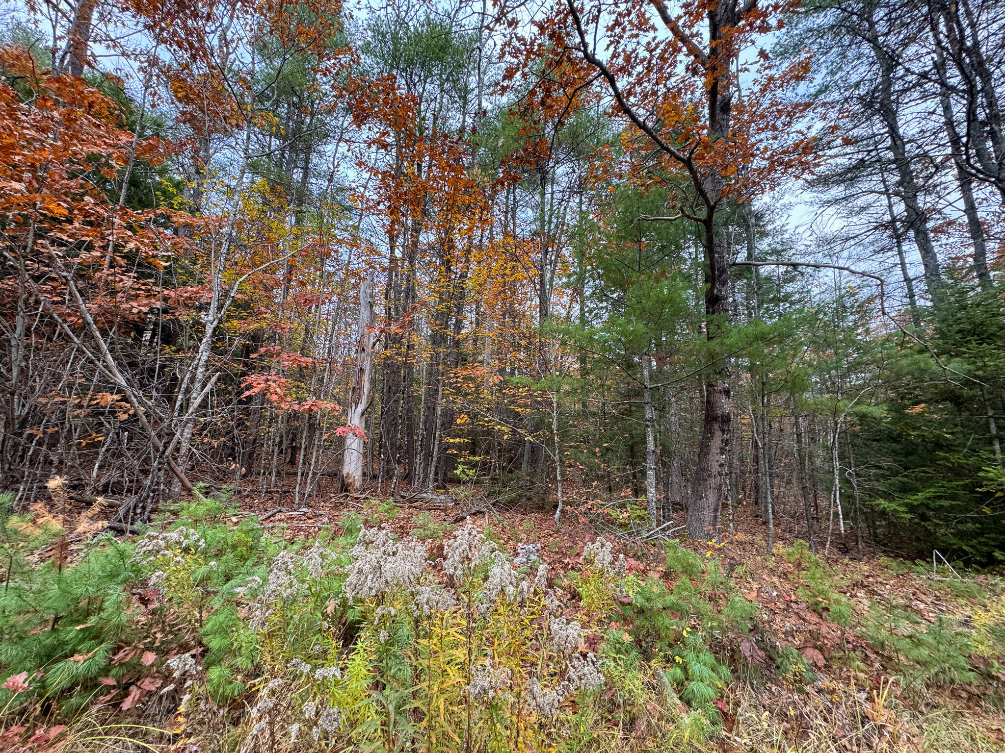 Lot 57b Dodge Road Dresden ME 04342