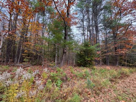 Lot 57b Dodge Road Dresden ME 04342