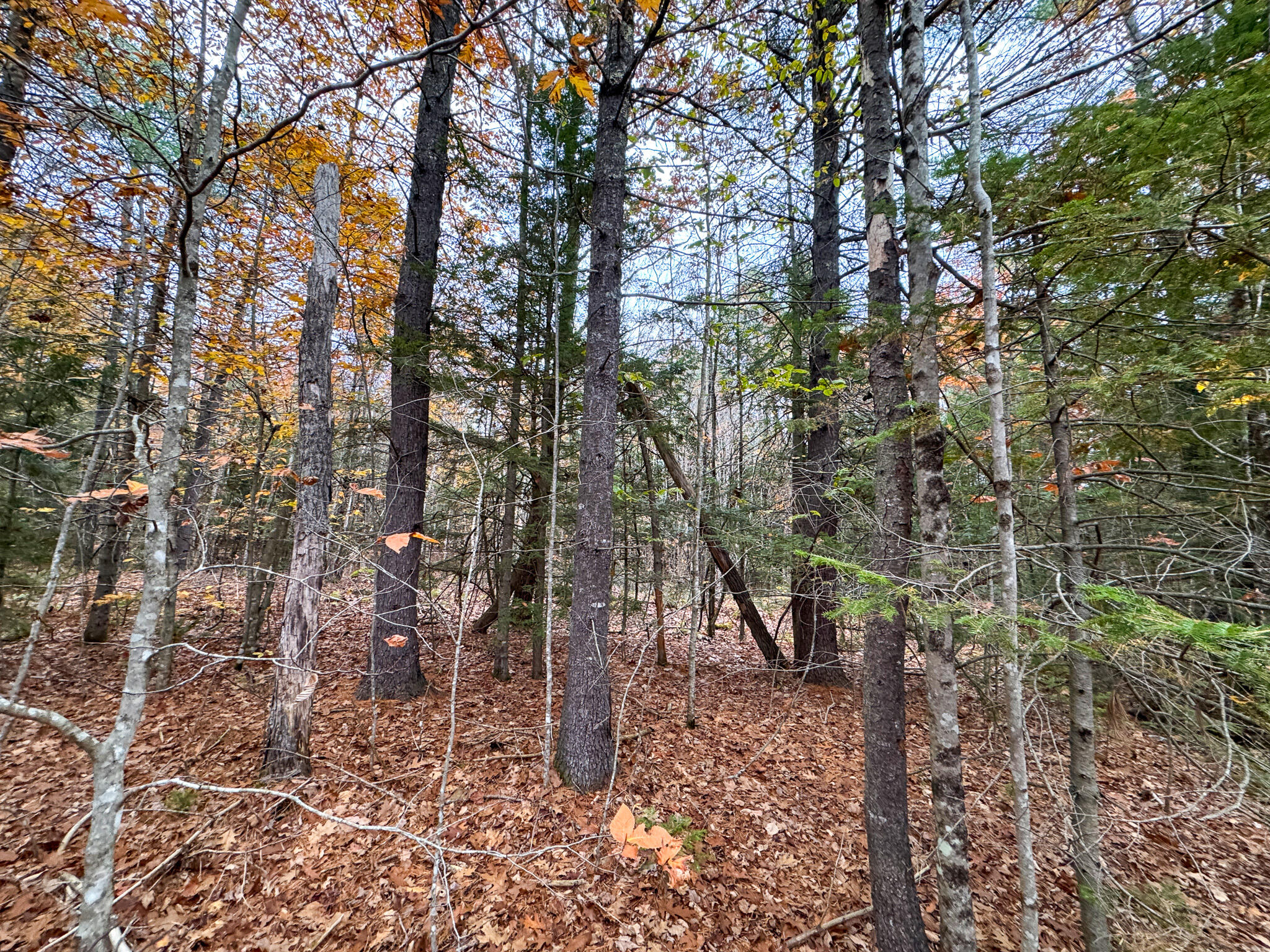 Lot 57b Dodge Road Dresden ME 04342