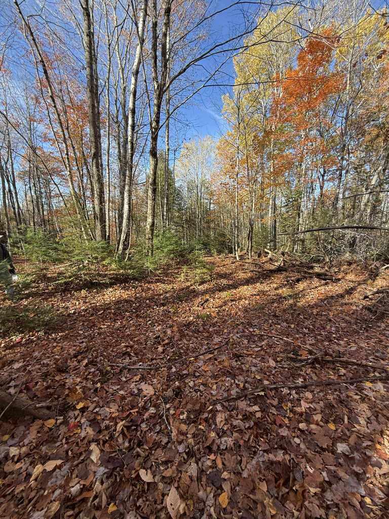 Lot 006 Ramsdell Road Farmington ME 04938
