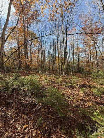 Lot 006 Ramsdell Road Farmington ME 04938