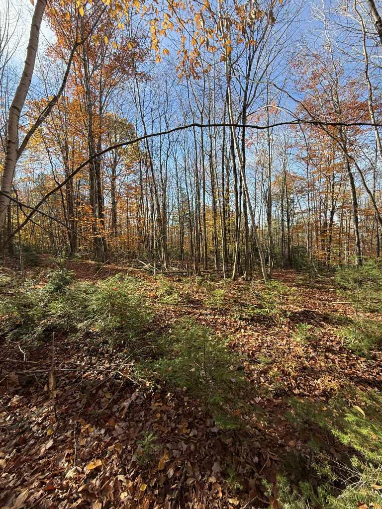 Lot 006 Ramsdell Road Farmington ME 04938