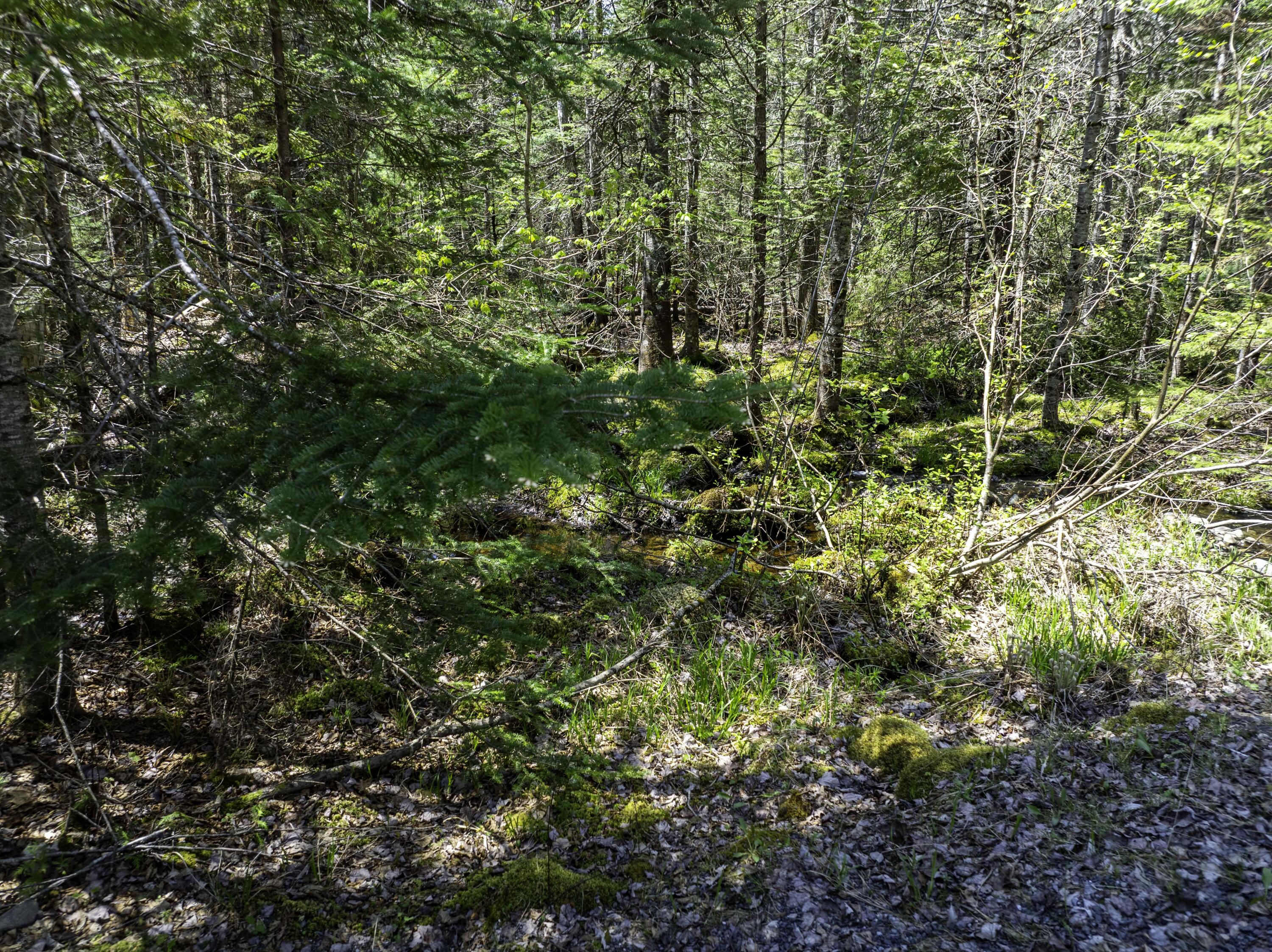 Lot 38 Arrowhead Road Bar Harbor ME 04609