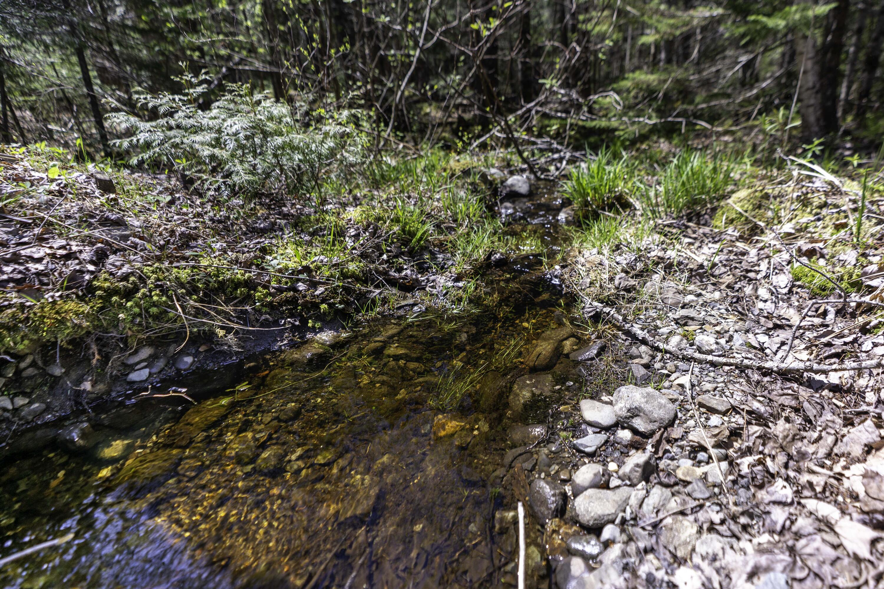 Lot 38 Arrowhead Road Bar Harbor ME 04609