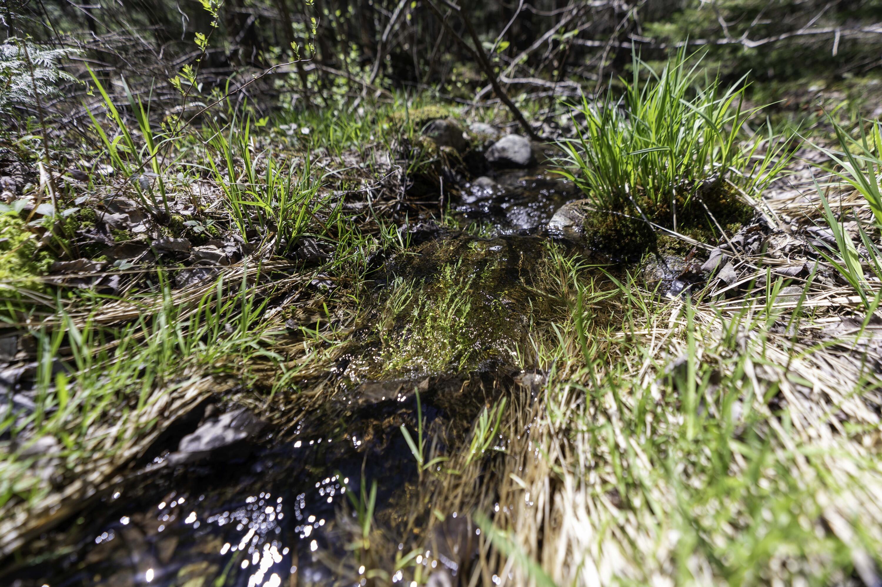 Lot 38 Arrowhead Road Bar Harbor ME 04609