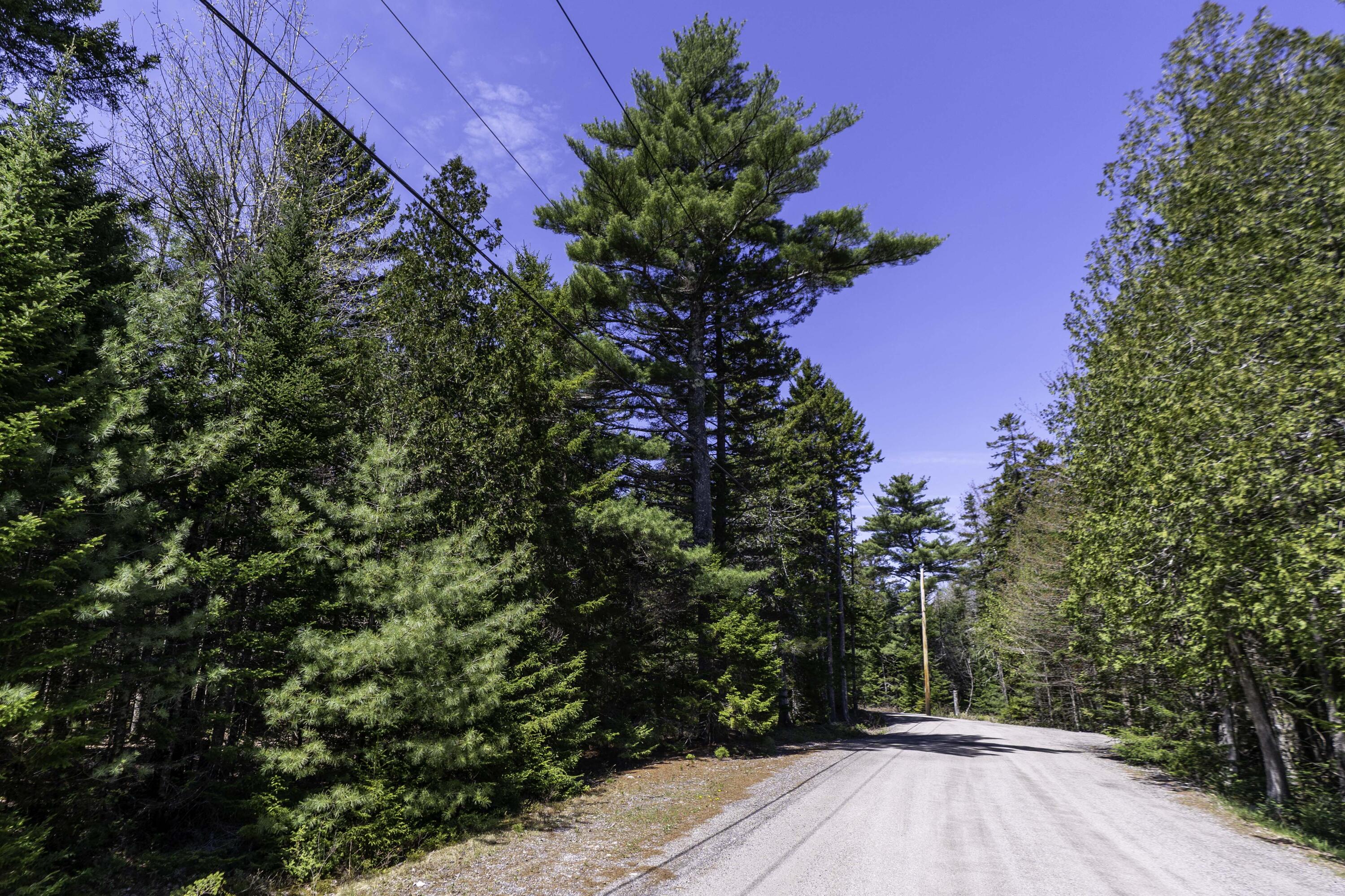 Lot 38 Arrowhead Road Bar Harbor ME 04609