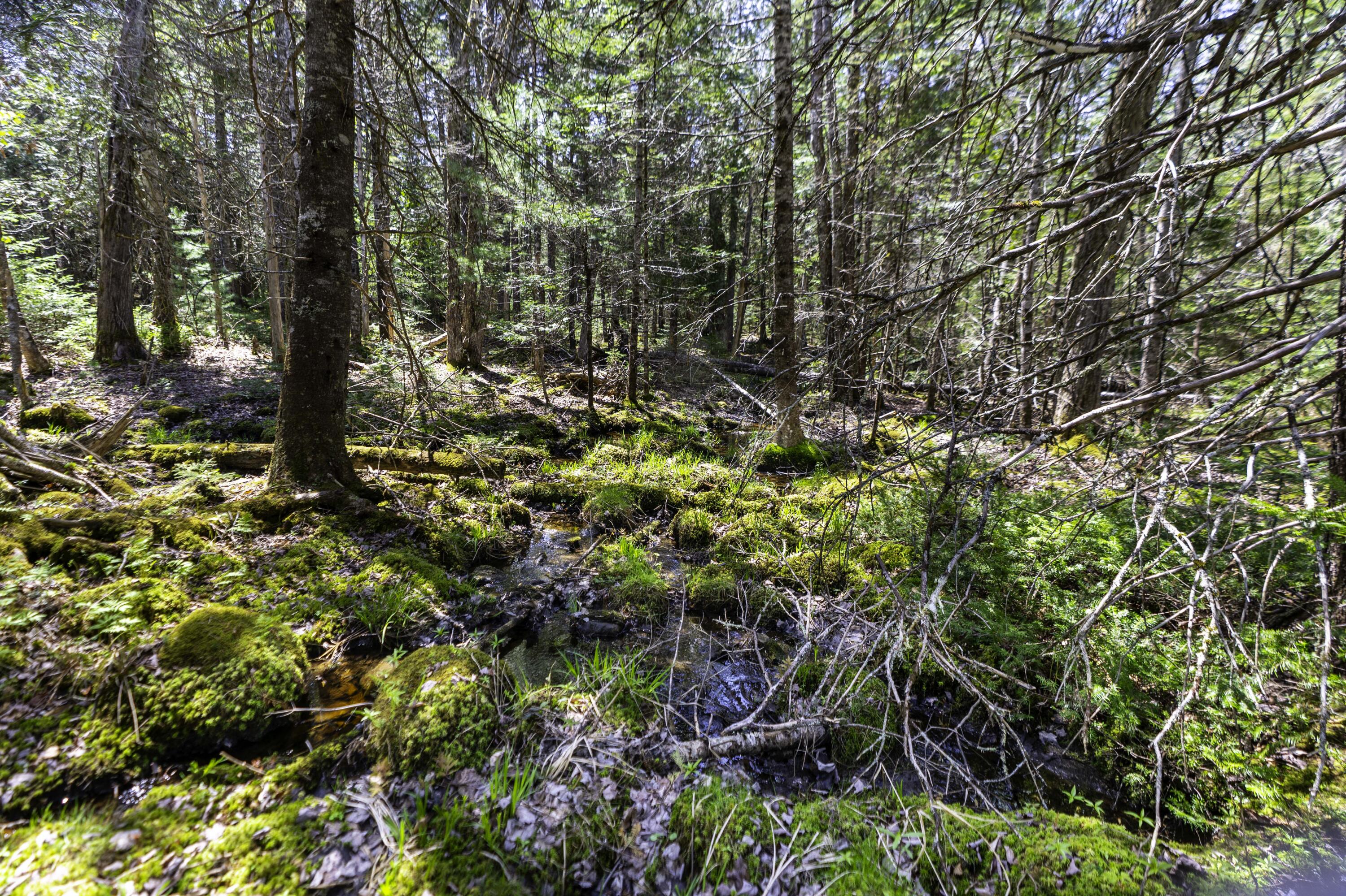 Lot 38 Arrowhead Road Bar Harbor ME 04609