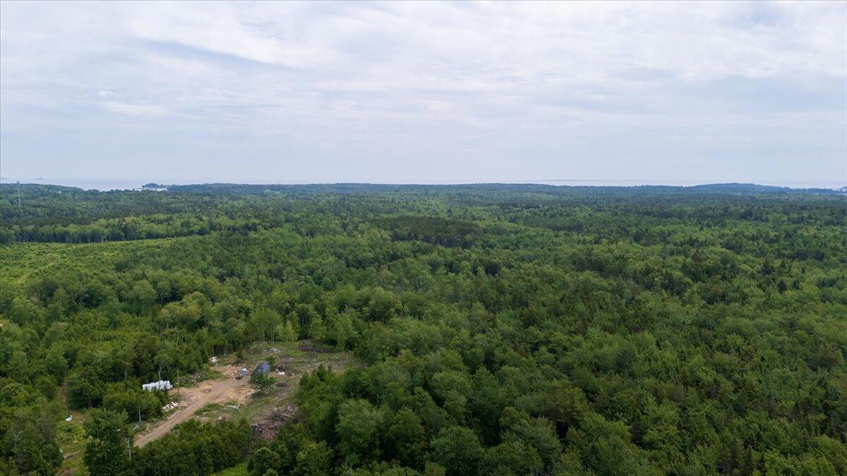 M214 L23c1 Autumn Marsh Road Saint George ME 04860