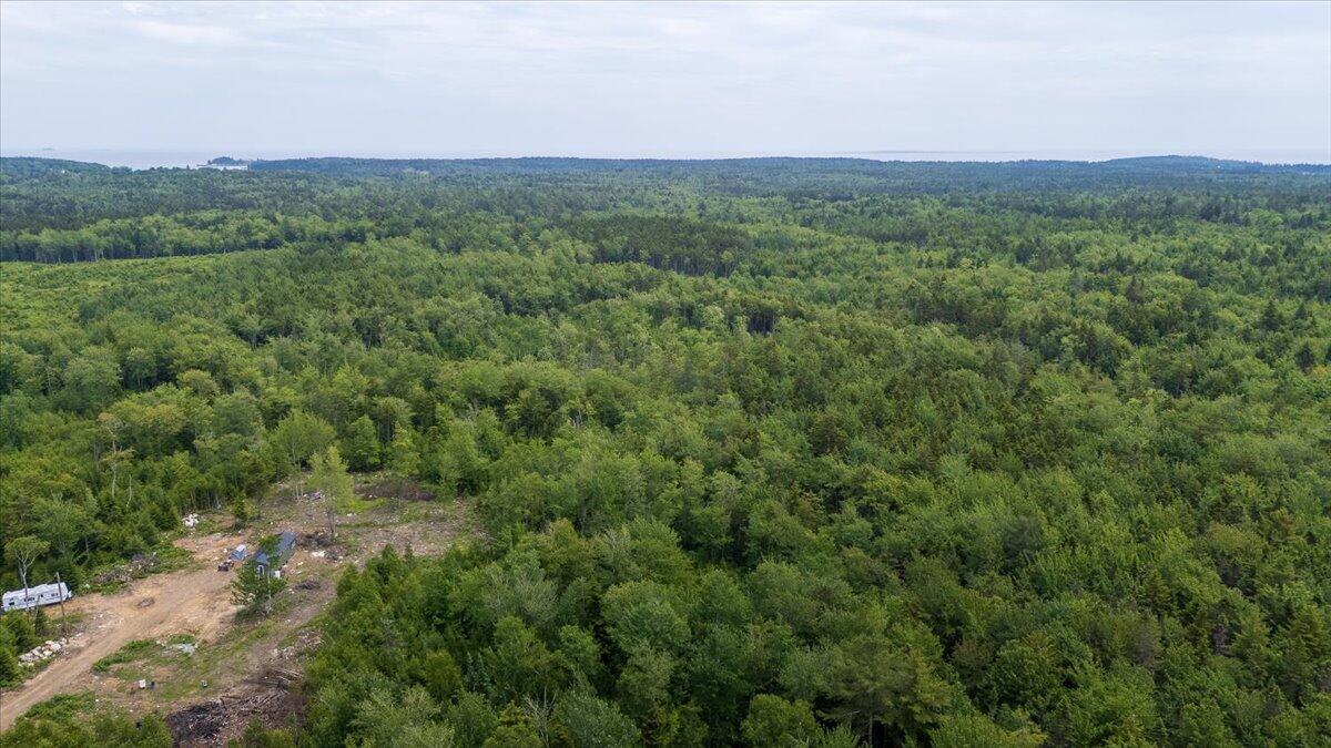 M214 L23c1 Autumn Marsh Road Saint George ME 04860