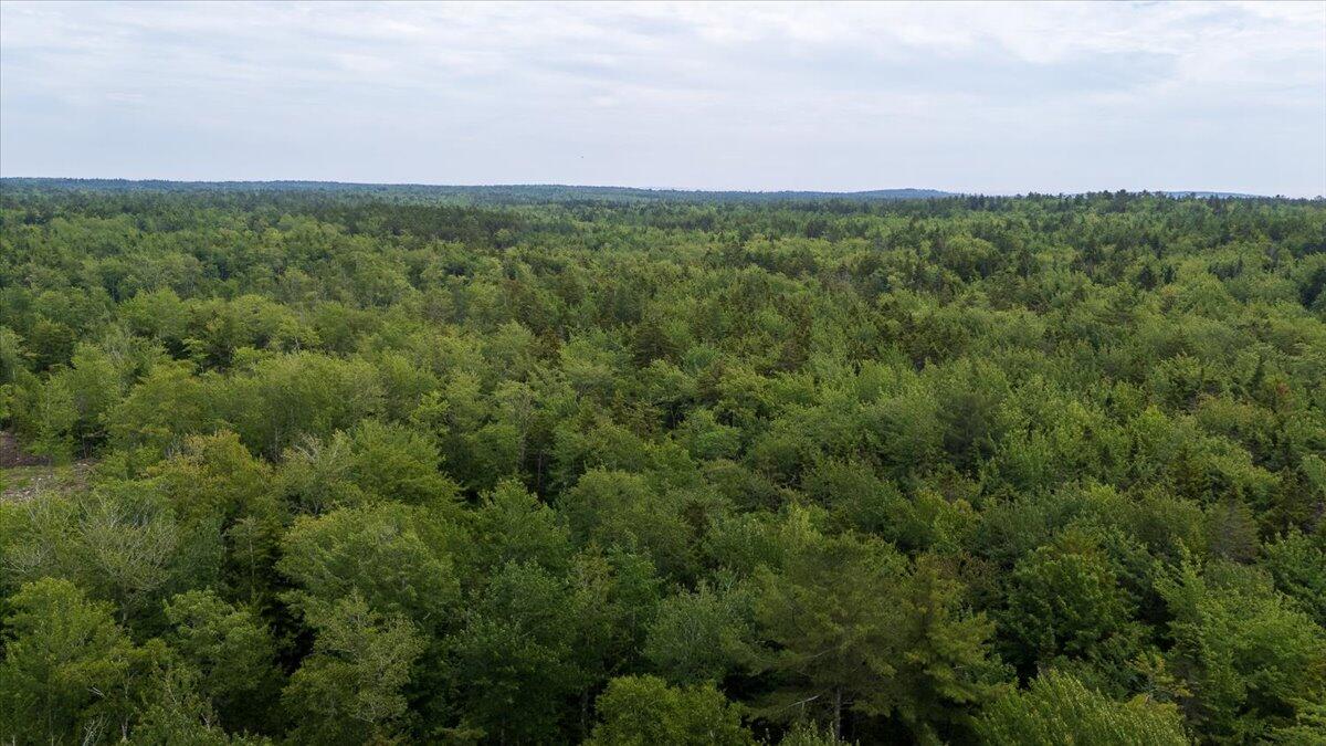 M214 L23c1 Autumn Marsh Road Saint George ME 04860