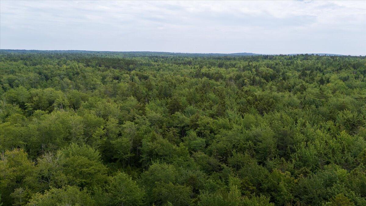 M214 L23c1 Autumn Marsh Road Saint George ME 04860