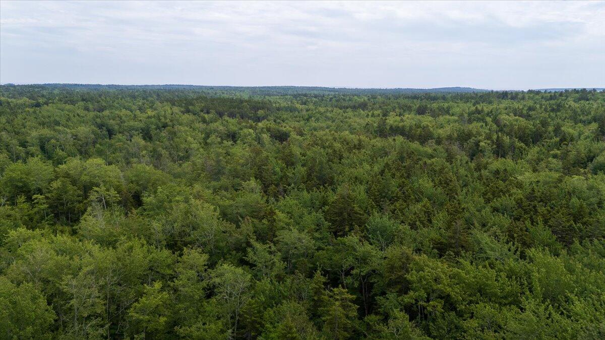 M214 L23c1 Autumn Marsh Road Saint George ME 04860