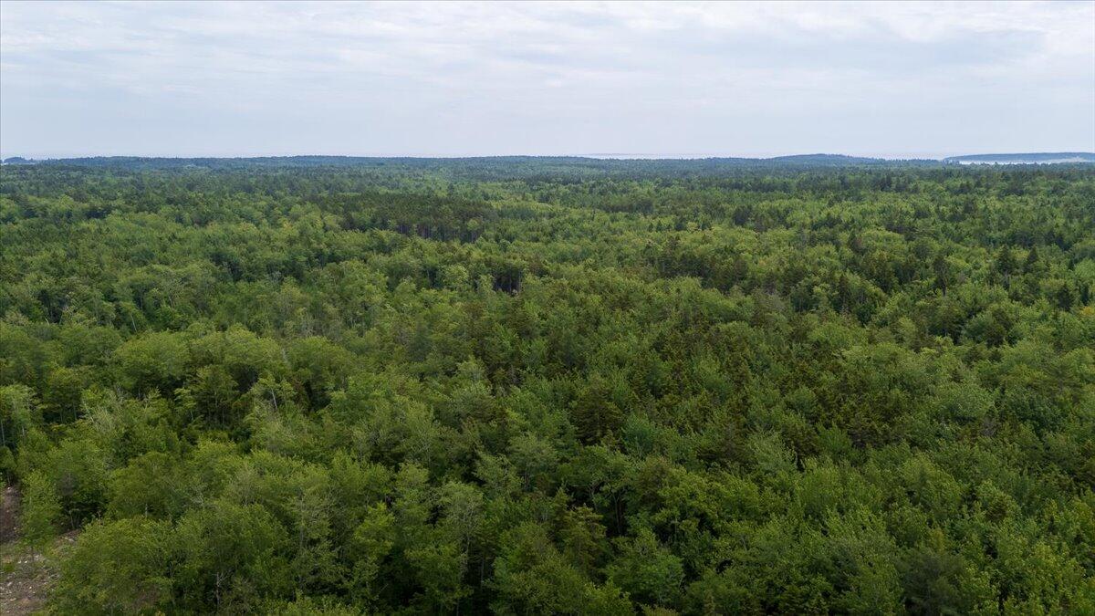 M214 L23c1 Autumn Marsh Road Saint George ME 04860