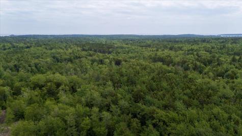 M214 L23c1 Autumn Marsh Road Saint George ME 04860