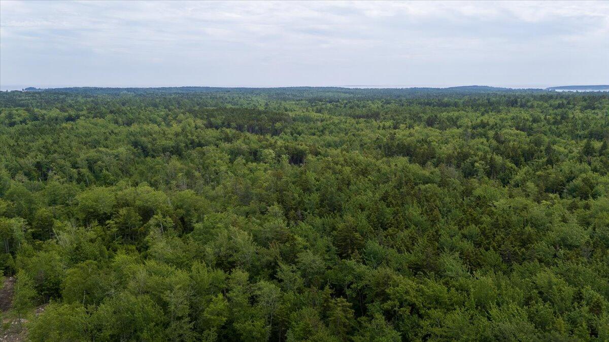 M214 L23c1 Autumn Marsh Road Saint George ME 04860