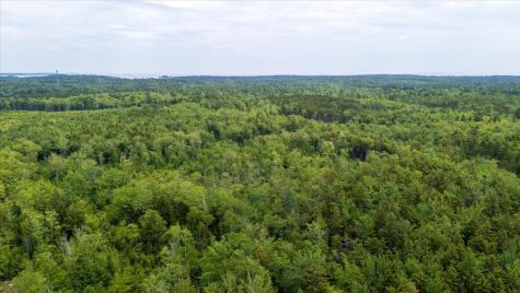 M214 L23c1 Autumn Marsh Road Saint George ME 04860