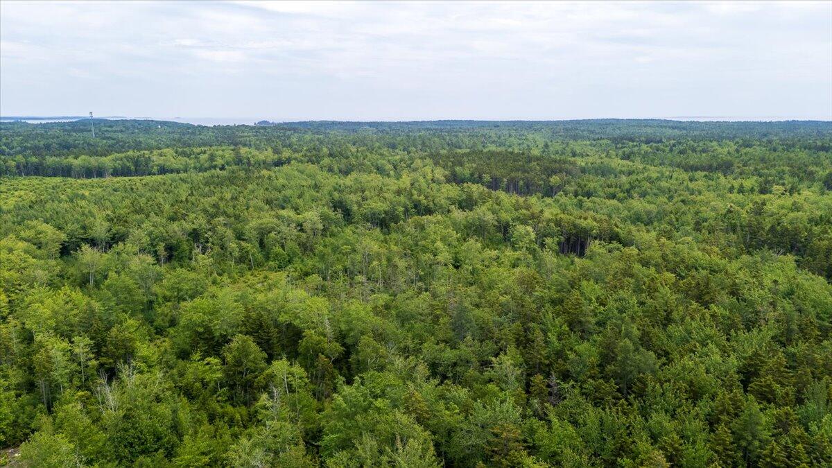 M214 L23c1 Autumn Marsh Road Saint George ME 04860