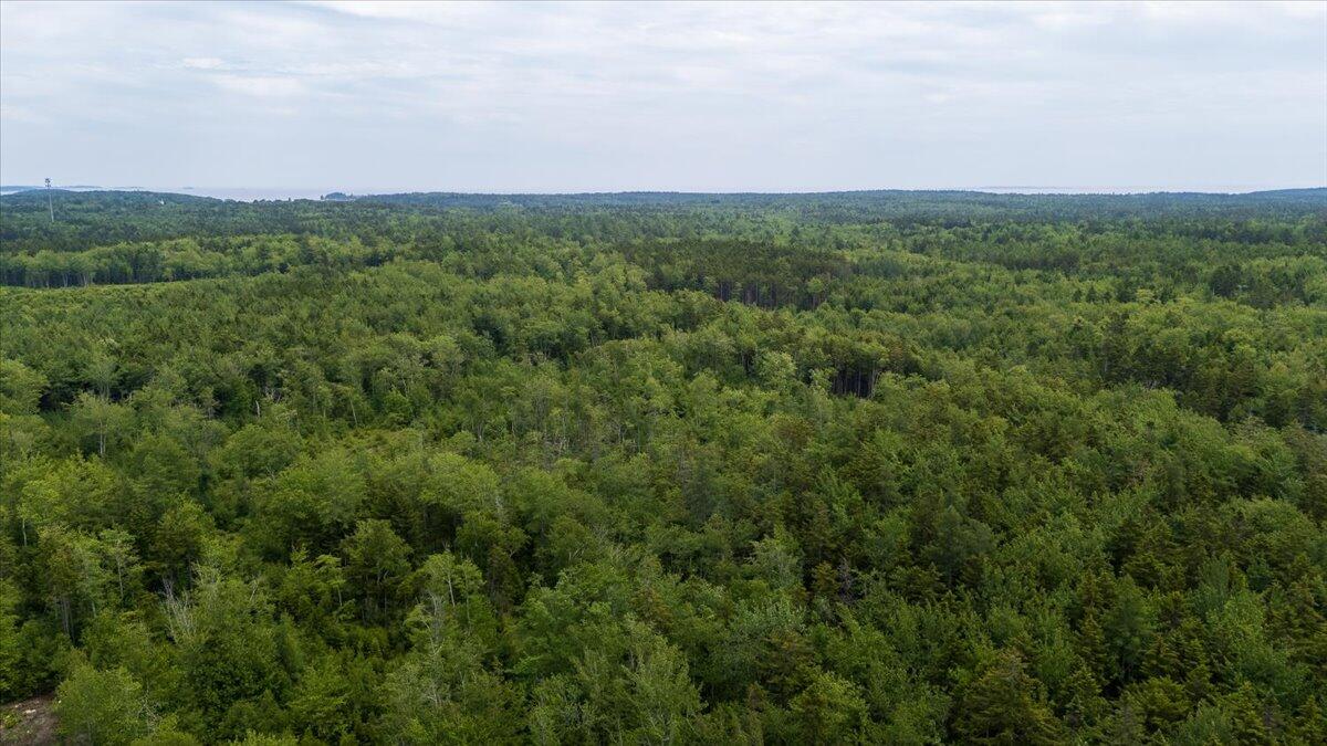 M214 L23c1 Autumn Marsh Road Saint George ME 04860