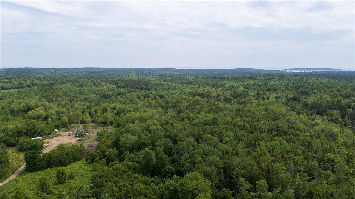 M214 L23c1 Autumn Marsh Road Saint George ME 04860