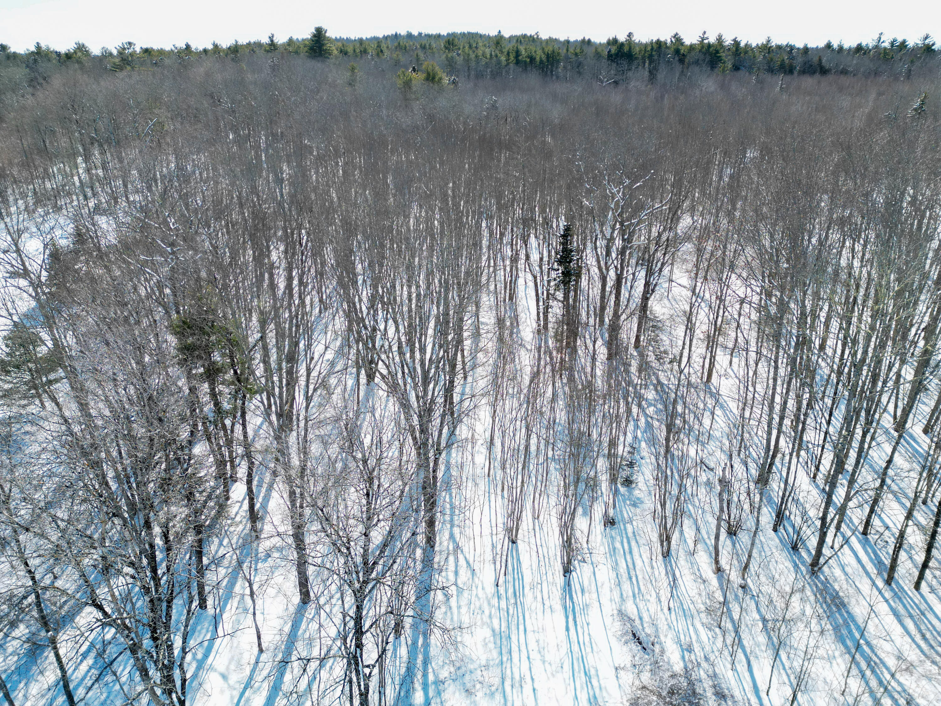 P/o 205 Ralph Wink Road Waldoboro ME 04572