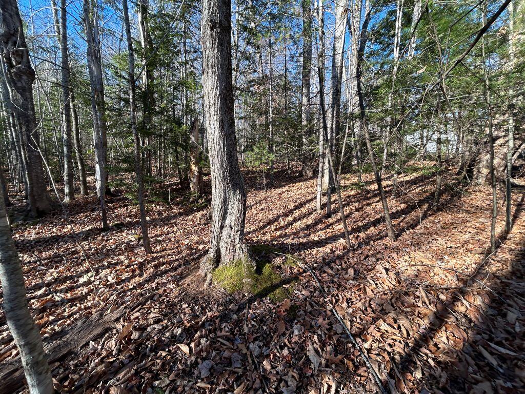 Lot 201 Wildewood Estates Rome ME 04963