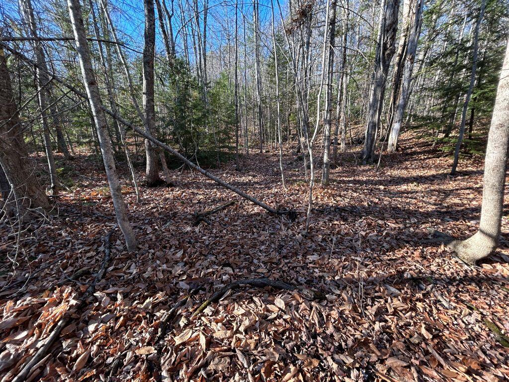 Lot 201 Wildewood Estates Rome ME 04963