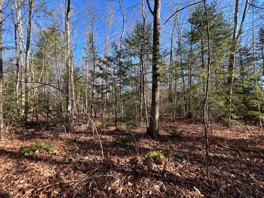 Lot 201 Wildewood Estates Rome ME 04963