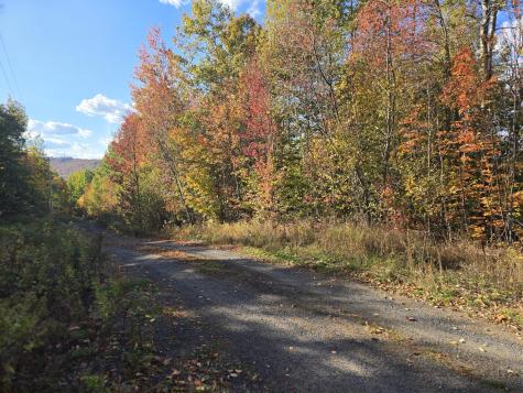 Lot 21 Red Granite Road Island Falls ME 04747