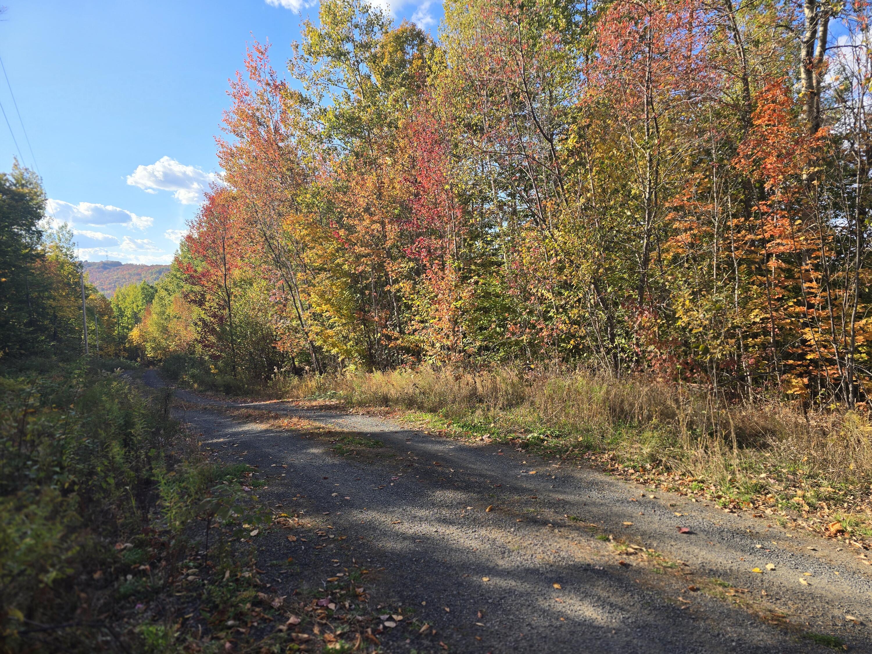 Lot 21 Red Granite Road Island Falls ME 04747
