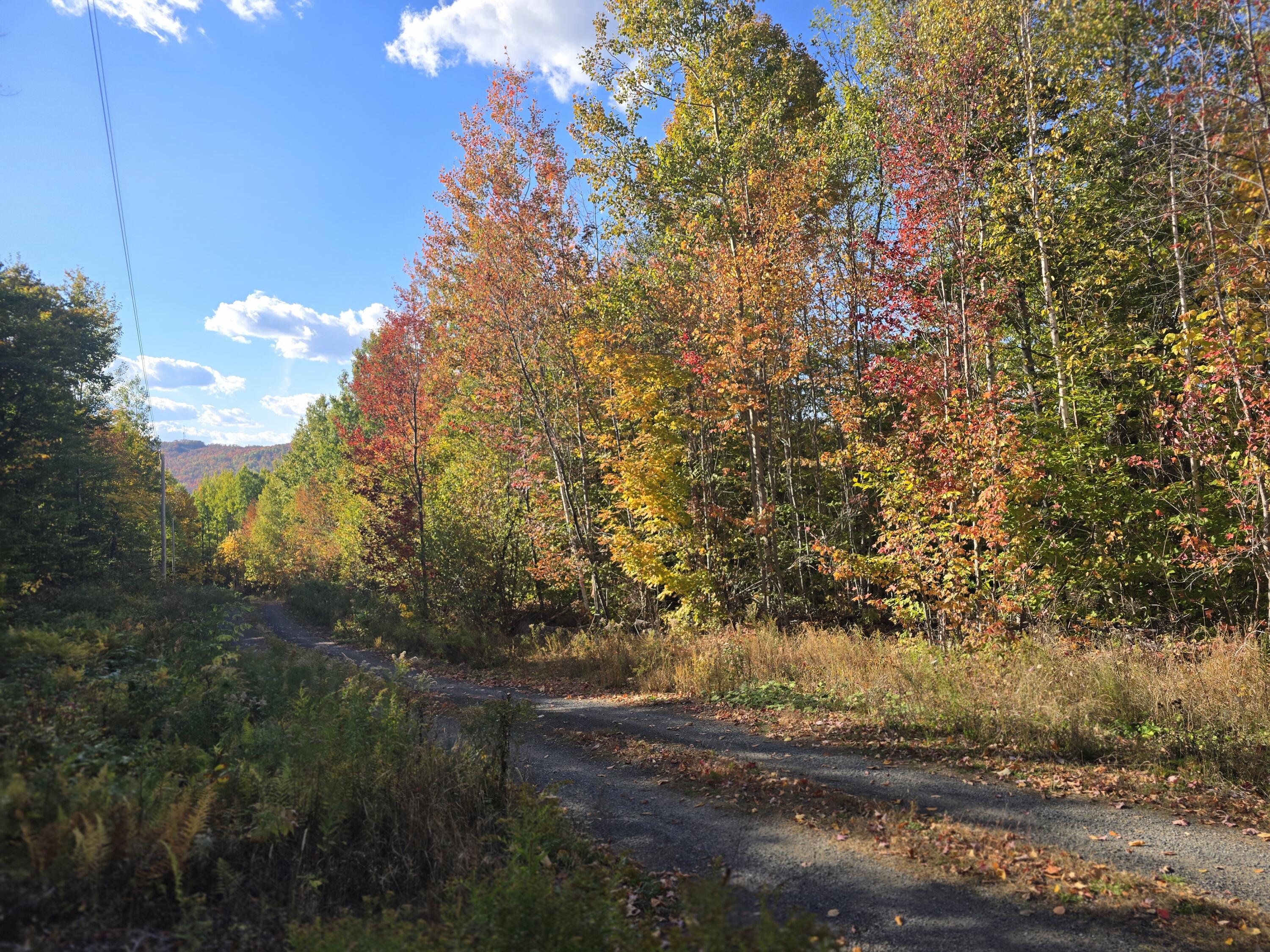 Lot 21 Red Granite Road Island Falls ME 04747