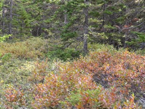 000 Seawall Map/lot 17/11-06 Southwest Harbor ME 04679