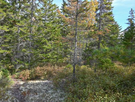 000 Seawall Map/lot 17/11-06 Southwest Harbor ME 04679