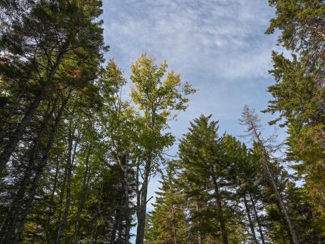 000 Seawall Map/lot 17/11-06 Southwest Harbor ME 04679