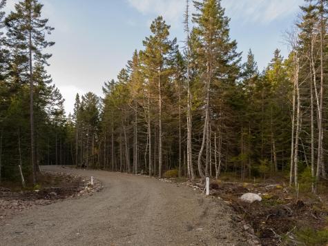 000 Seawall Map/lot 17/11-06 Southwest Harbor ME 04679