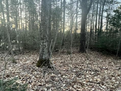 51 Rayville Road Otisfield ME 04270
