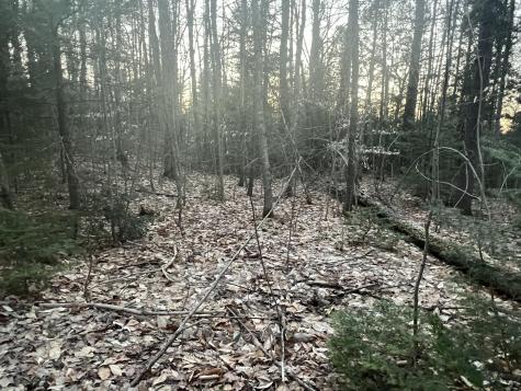 51 Rayville Road Otisfield ME 04270