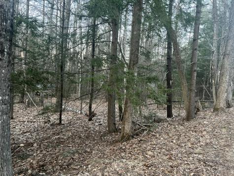 51 Rayville Road Otisfield ME 04270