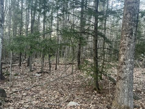 51 Rayville Road Otisfield ME 04270