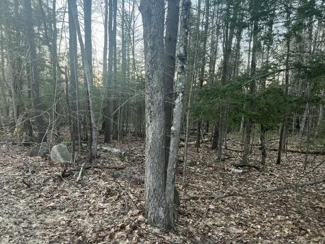 51 Rayville Road Otisfield ME 04270