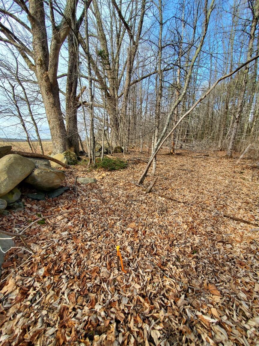 0 Burough Road Dover-foxcroft ME 04426