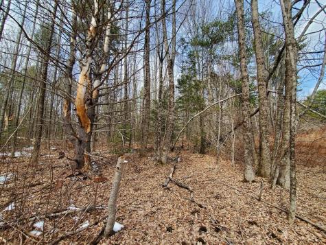 0 Burough Road Dover-foxcroft ME 04426