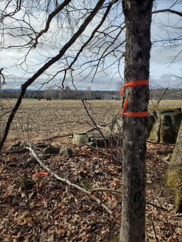 0 Burough Road Dover-foxcroft ME 04426
